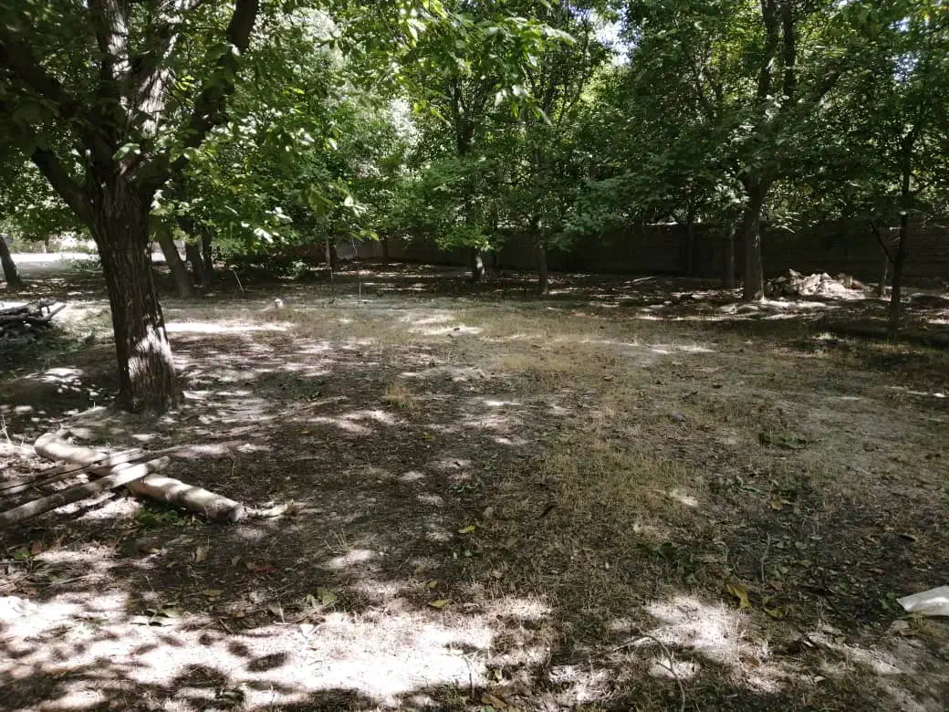 قطعه زمین ۱ هکتاری واقع در روستای الویجان|فروش دفتر صنعتی، کشاورزی، تجاری|تفرش, |دیوار