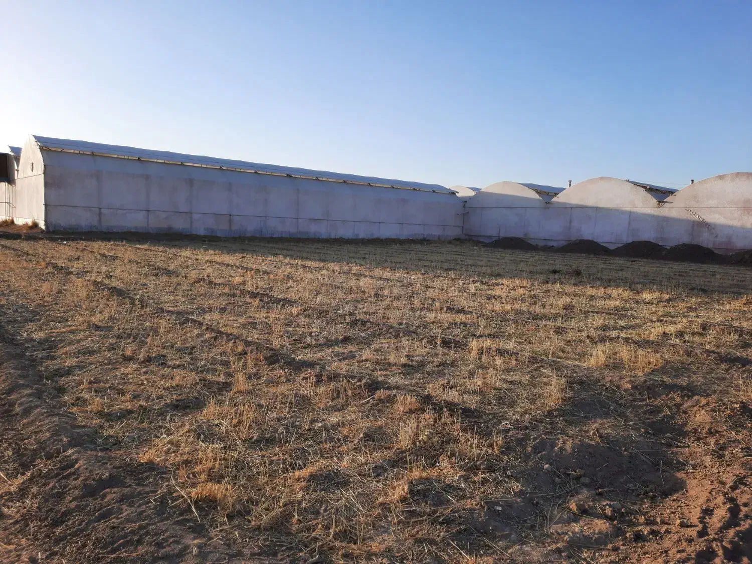 فروش دفترکشاورزی|فروش دفتر صنعتی، کشاورزی، تجاری|عسگران, |دیوار