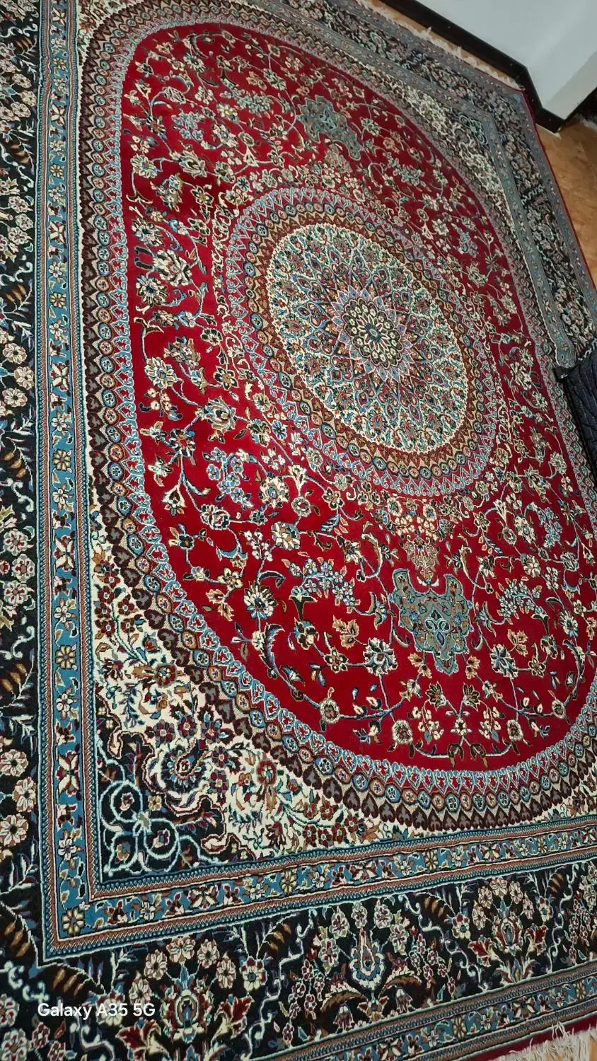 یه تخته فرش 12 متری|فرش|شاهرود, |دیوار