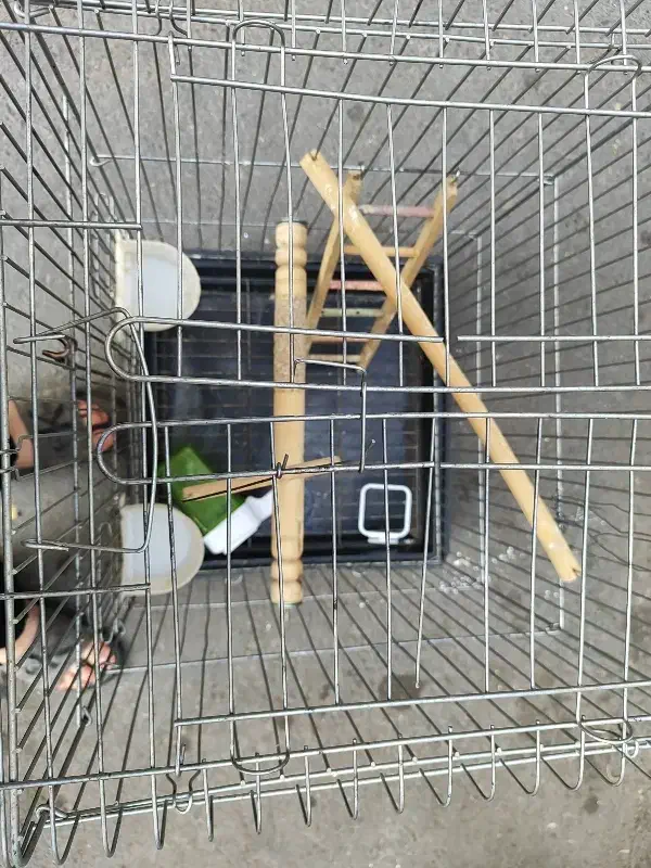 قفس طوطی سانان و غیره|لوازم جانبی حیوانات|تهران, امام زاده عبدالله|دیوار