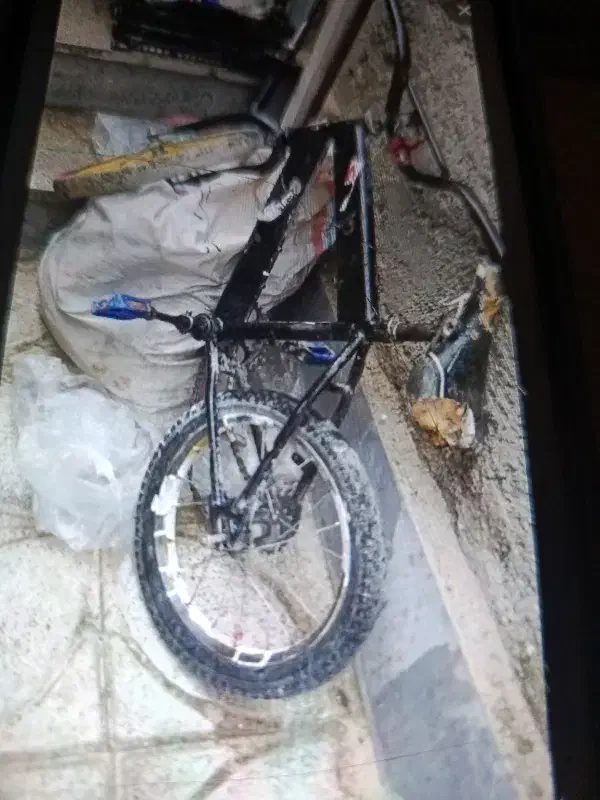 دوچرخه ۱۶|دوچرخه، اسکیت، اسکوتر|بیرجند, |دیوار