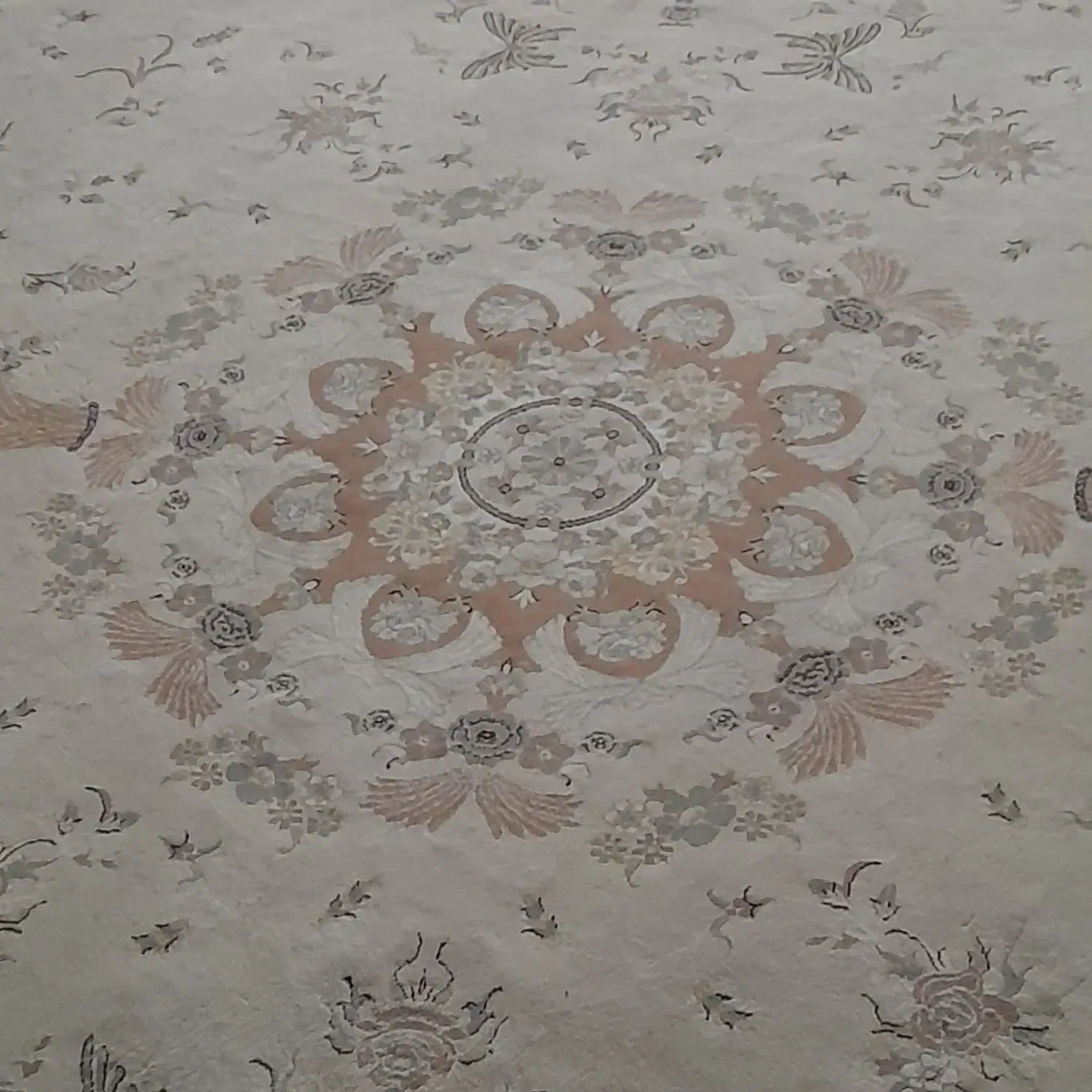 فرش ۱۲ متری|فرش|مهریز, |دیوار