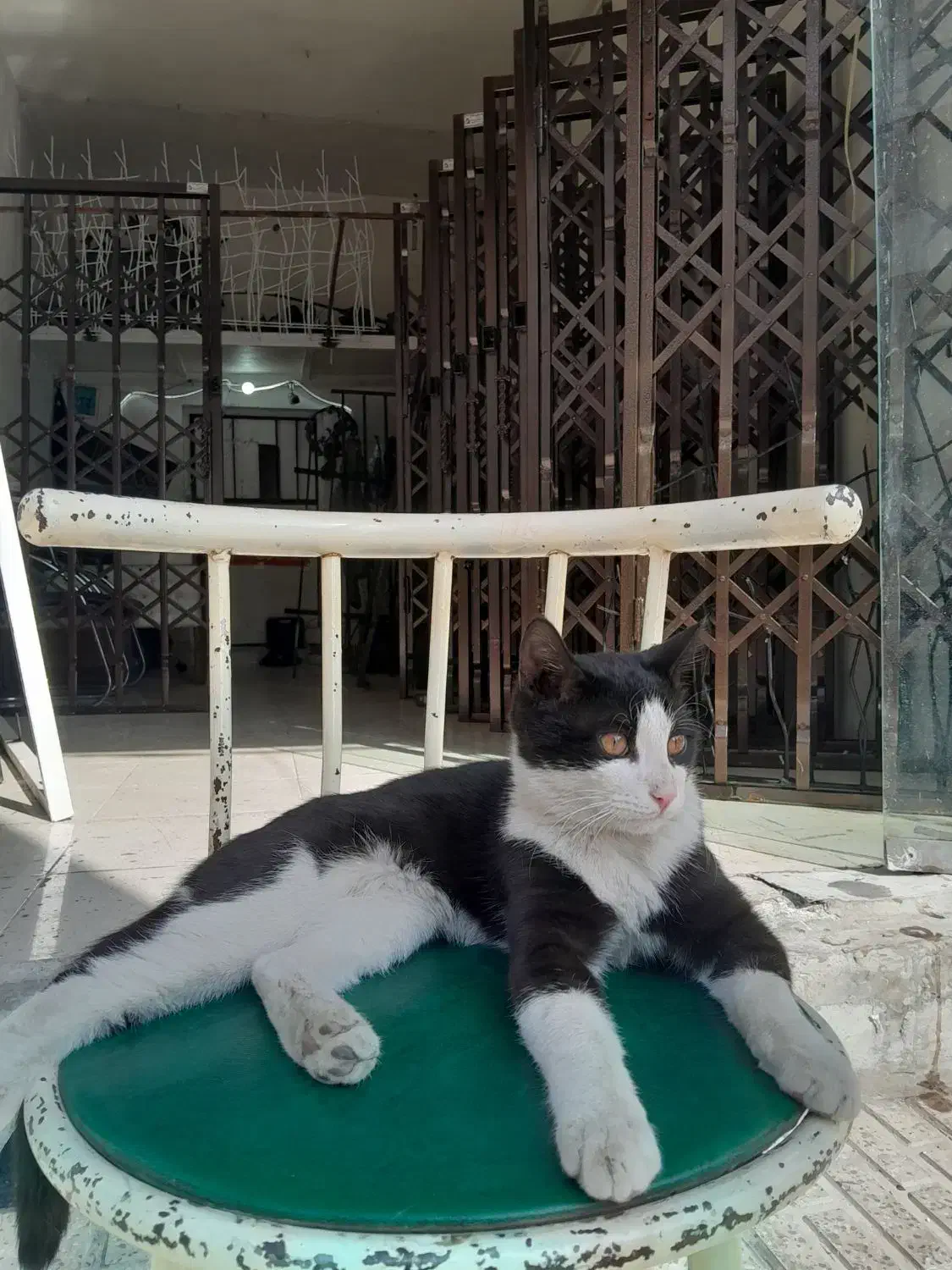 آکاردئونی وجوشکاری سیار|خدمات پیشه و مهارت|اندیشه, اندیشه فاز ۱|دیوار