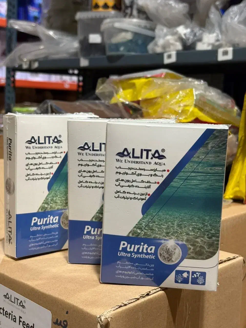 آکواریوم وماهیان زینتی|ماهی|رامشیر, |دیوار