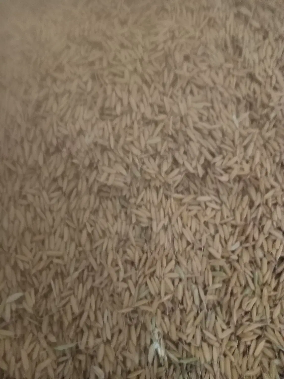 چلتوک|کلکسیون و سرگرمی|شیروان (لرستان), |دیوار