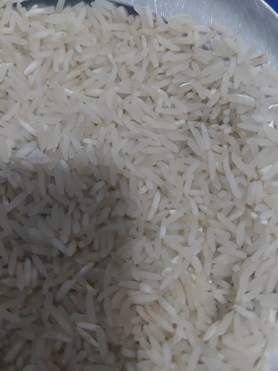 برنج فجرسوزنی۹۰روزه|خوردنی و آشامیدنی|علی‌آباد کتول, |دیوار