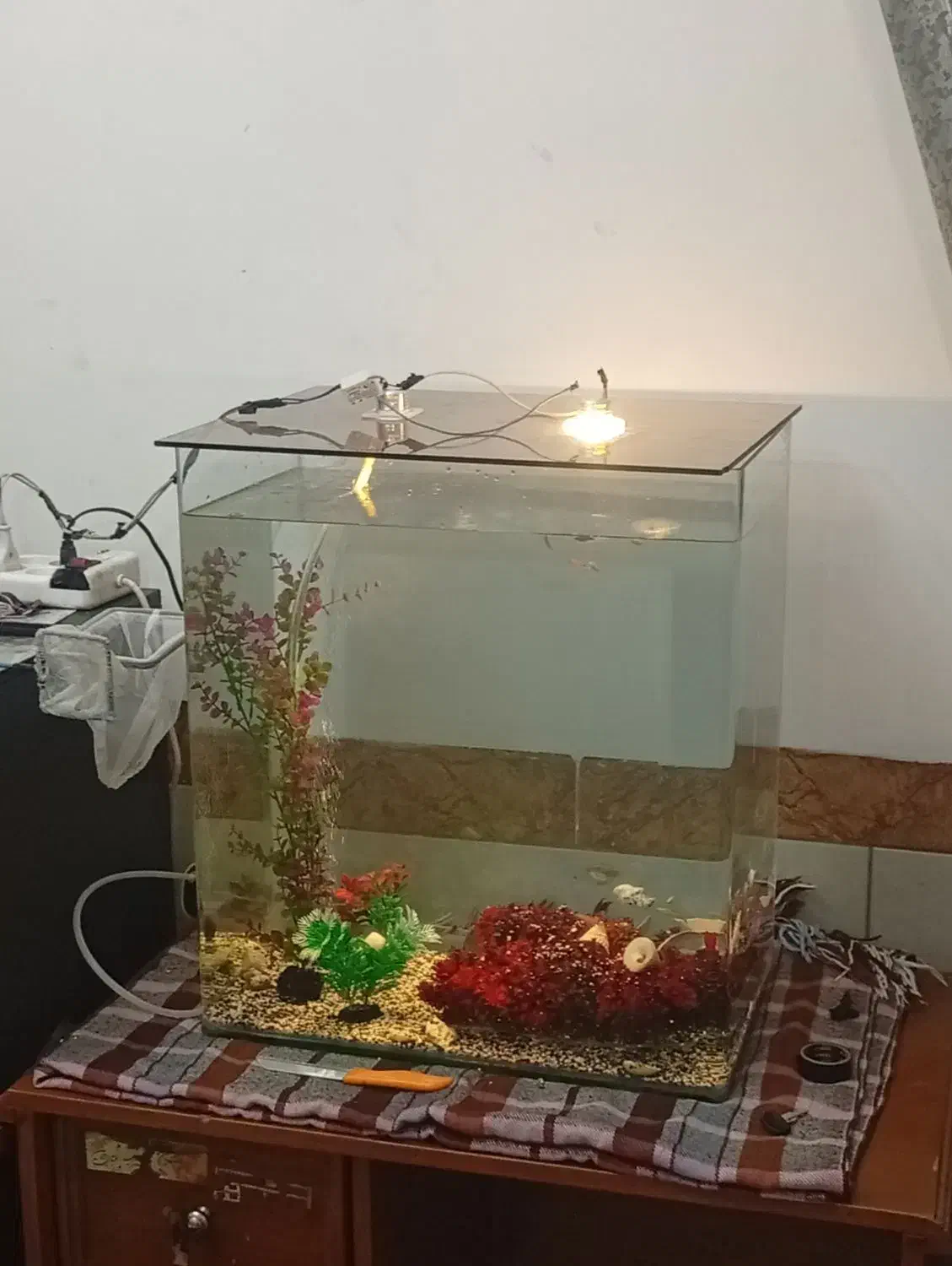 آکواریم شیشه خم با وسایل|ماهی|کرمان, |دیوار