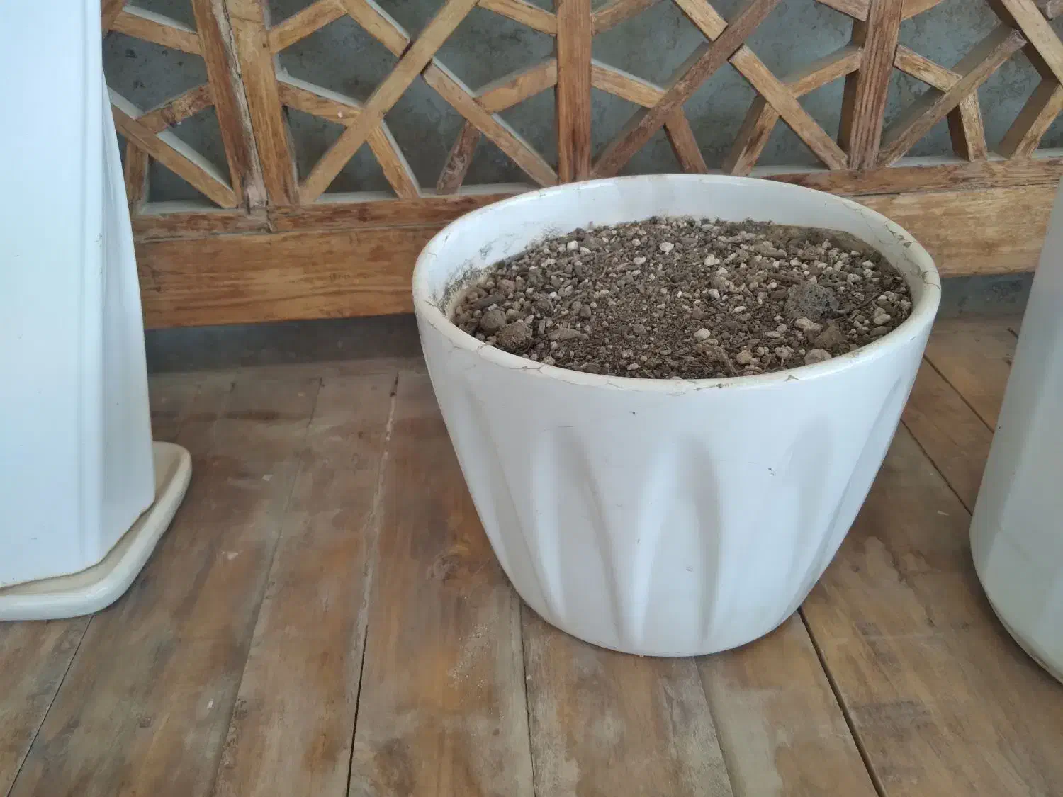 گلدون و پایه گلدون|گل و گیاه طبیعی|بندر ماهشهر, |دیوار