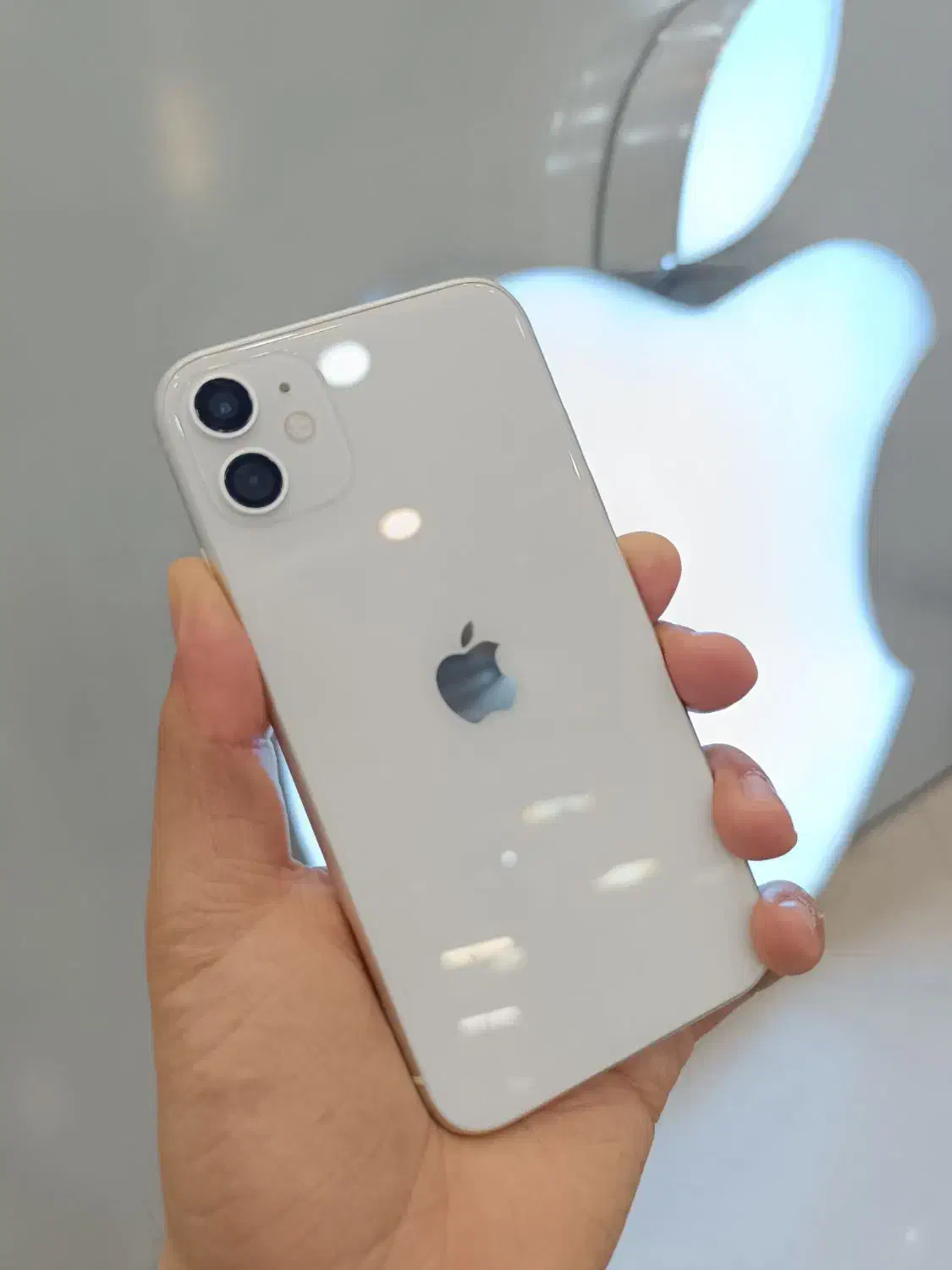 iPhone 11|موبایل|مشهد, سعد آباد|دیوار