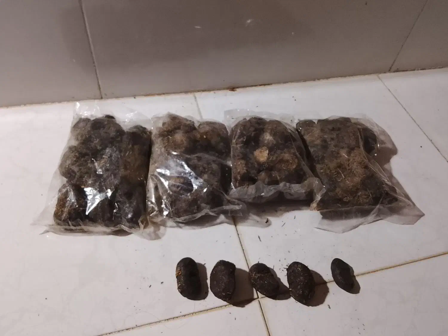 انبرنسا|آرایشی، بهداشتی، درمانی|بوئین و میاندشت, |دیوار