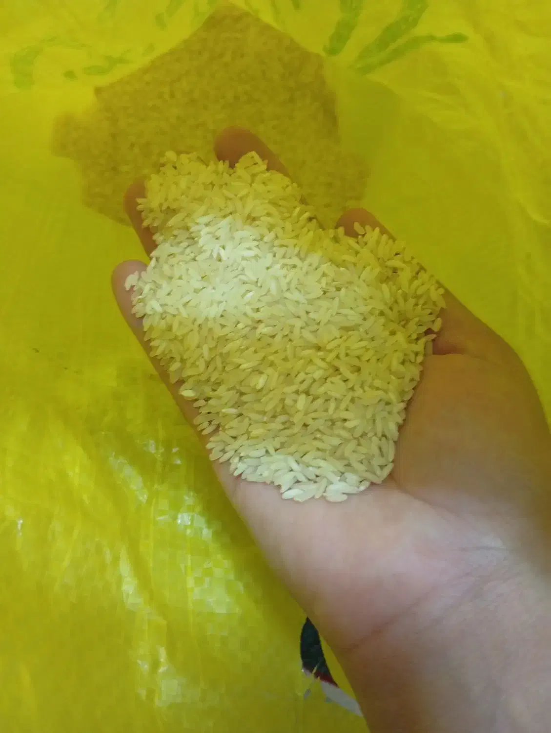 برنج عنبر بو شوشتربا طبع گرم بارجدیدرسید.|خوردنی و آشامیدنی|آران و بیدگل, |دیوار