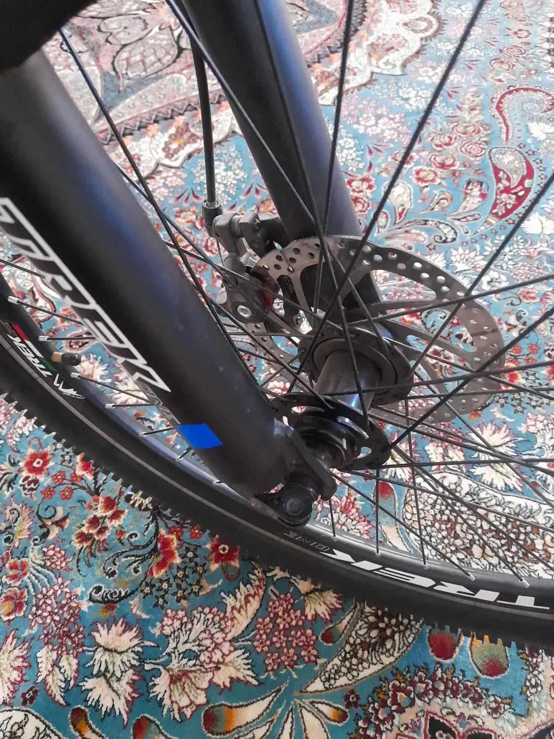 دوچرخه ۲۴|دوچرخه، اسکیت، اسکوتر|پلدختر, |دیوار