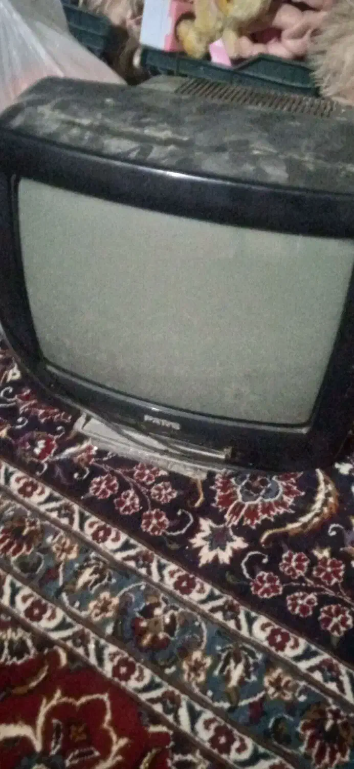 تلوزیون|تلویزیون و پروژکتور|بجنورد, |دیوار