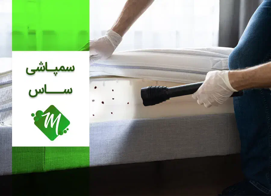 حذف وریشه کنی حشرات موذی فقط دریک مرحله باضمانت|خدمات نظافت|بومهن, |دیوار