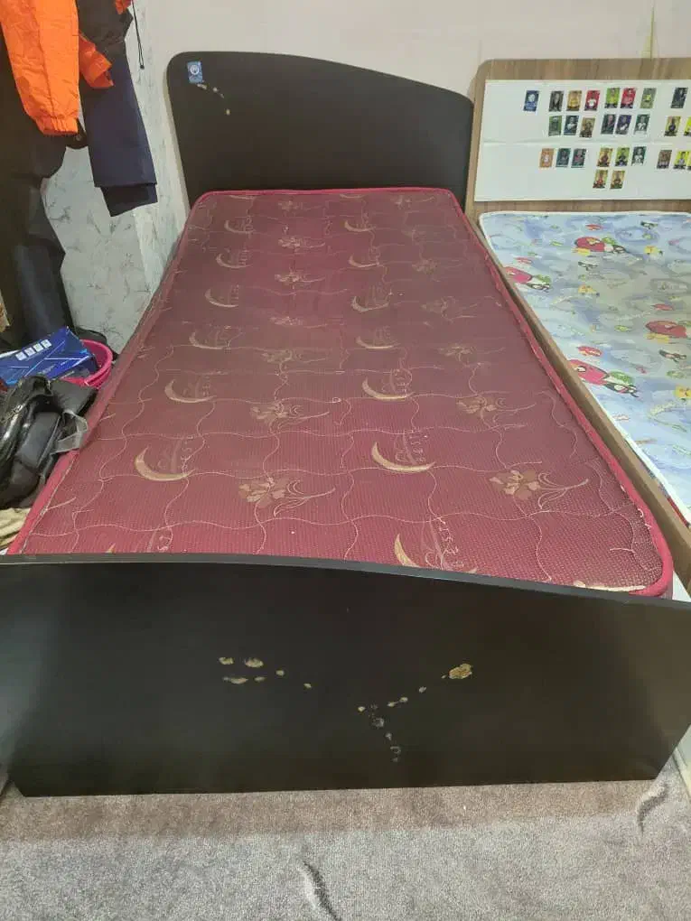 دو عدد تخت بزرگسال و نوجوان تکنفره|تخت و سرویس خواب|مشهد, الهیه|دیوار