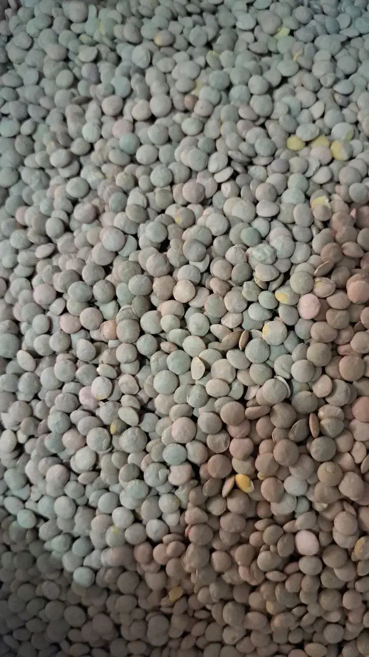 برنج لپه نخود عدس|خوردنی و آشامیدنی|عجب شیر, |دیوار