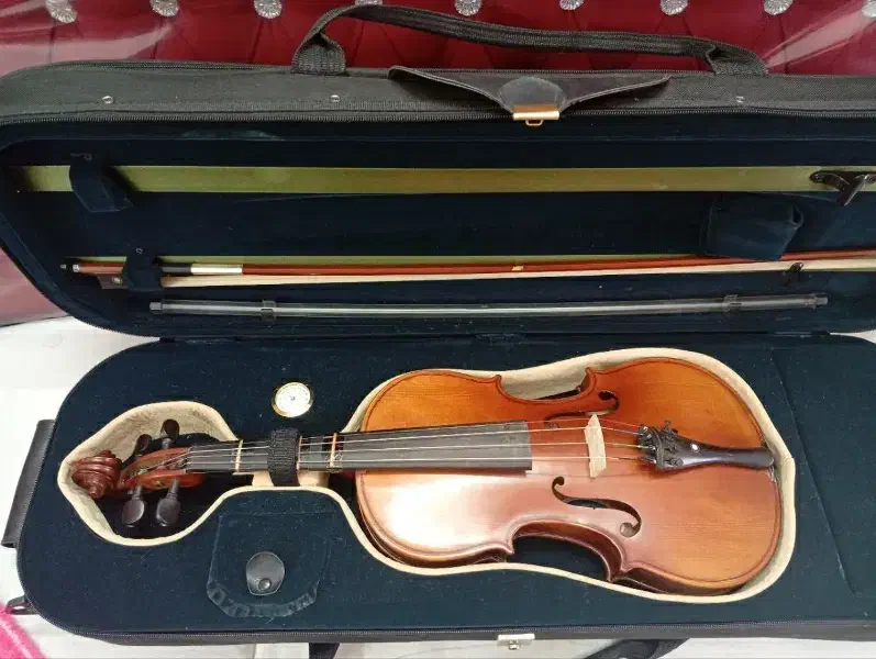 ویالن TF148|ویولن|اصفهان, باغ زرشک|دیوار