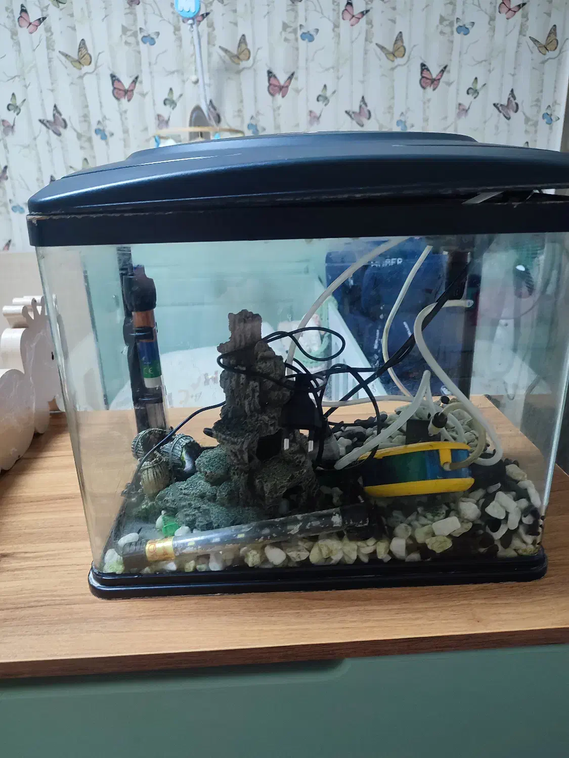 آکواریوم شیشه خم در ورامین|ماهی|ری, شهادت|دیوار