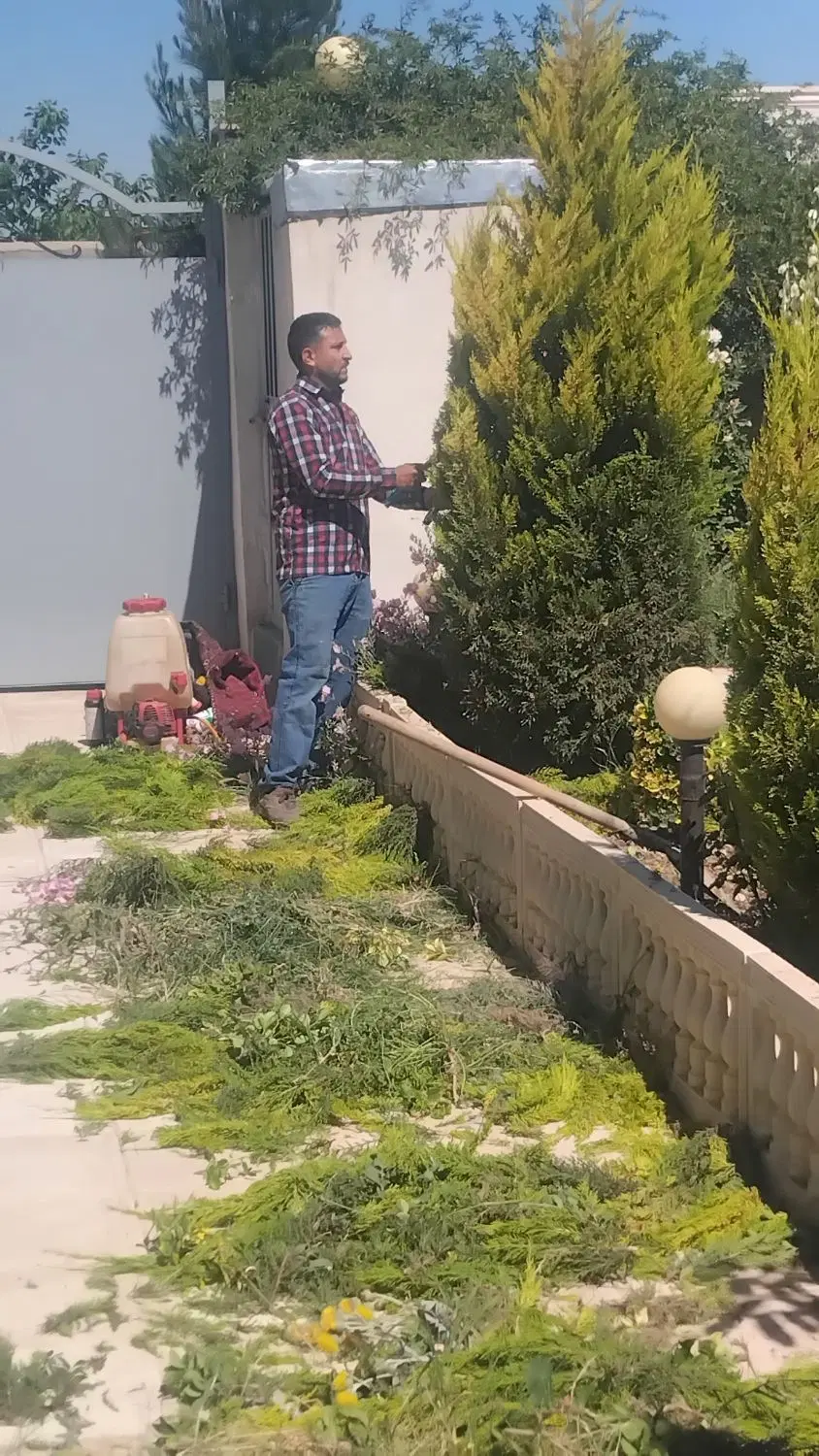 باغبانی سم پاشی تعویض خاک گلدان در تمام نقاط تهران|خدمات باغبانی و درختکاری|تهران, تجریش|دیوار