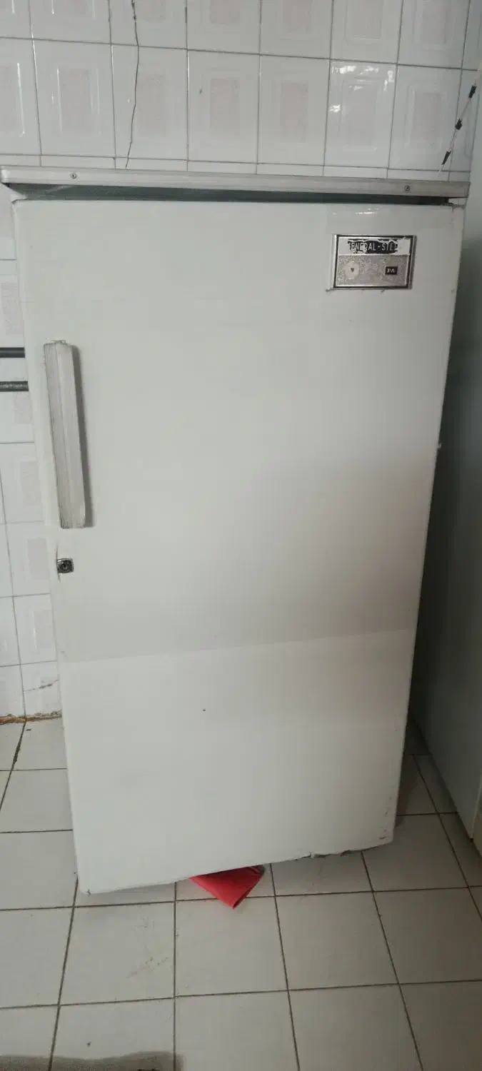 یخچال سالم پارس آمریکایی|یخچال و فریزر|برخوار, |دیوار