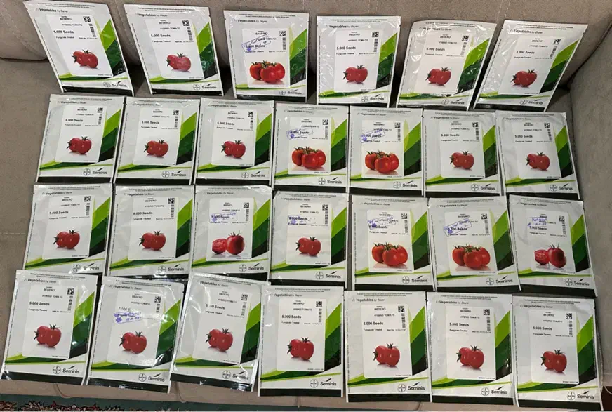 فروش انواع بذر های گلخانه ای و فضای باز|خدمات باغبانی و درختکاری|میناب, |دیوار