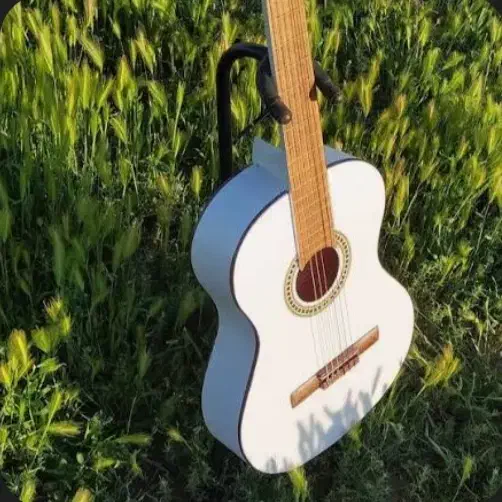 گیتار کلاسیک|گیتار، بیس، امپلیفایر|تالش, هشتپر|دیوار