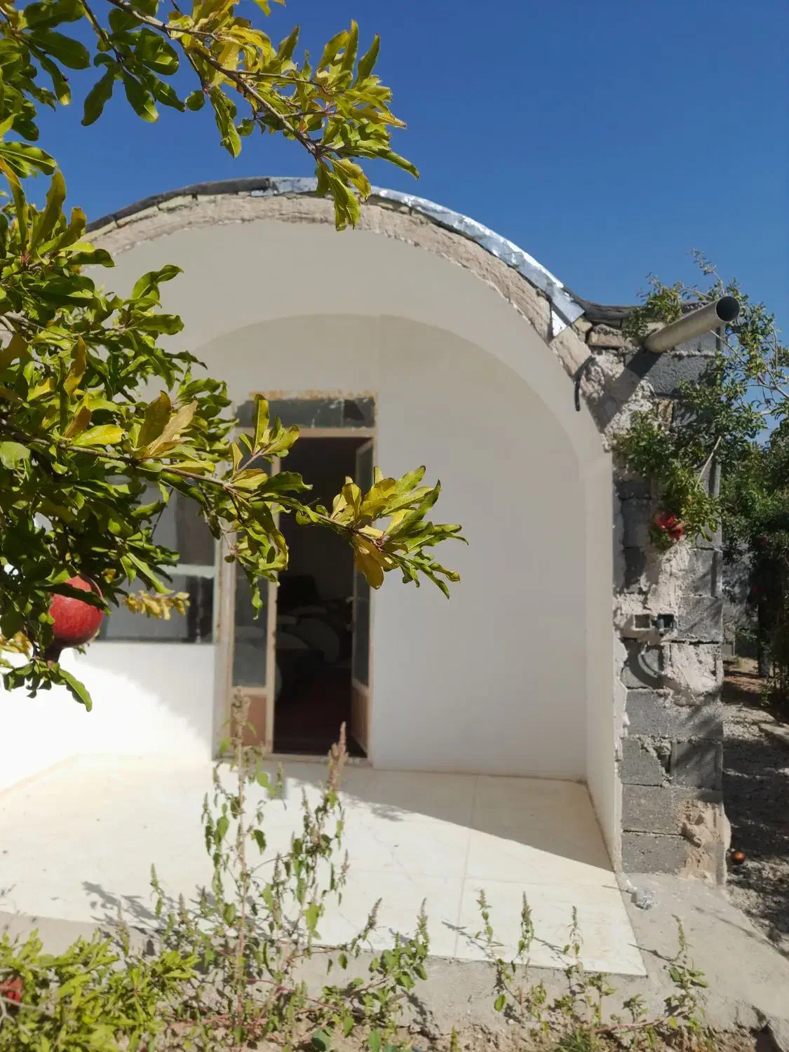 فروش باغ انار روستای امامزاده علی اکبر شهرضا|فروش دفتر صنعتی، کشاورزی، تجاری|شهرضا, |دیوار