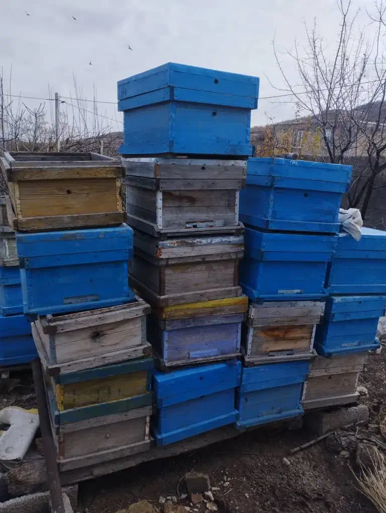 کندو زنبور عسل|لوازم جانبی حیوانات|گهواره, |دیوار