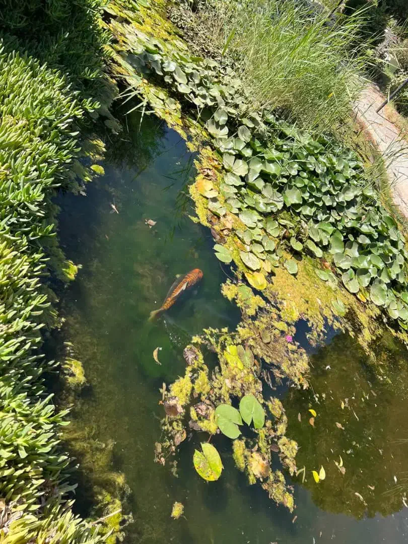 باغ تالار پذیرایی نامزدی عقد تولد مهمانی|خدمات پذیرایی، مراسم|قرچک, شهرک طلائیه|دیوار