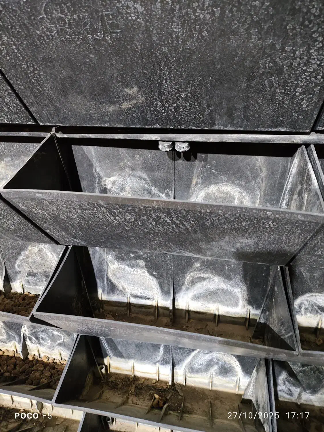 گرینوال طبیعی بهمراه تاسیسات|خدمات باغبانی و درختکاری|تهران, قیطریه|دیوار