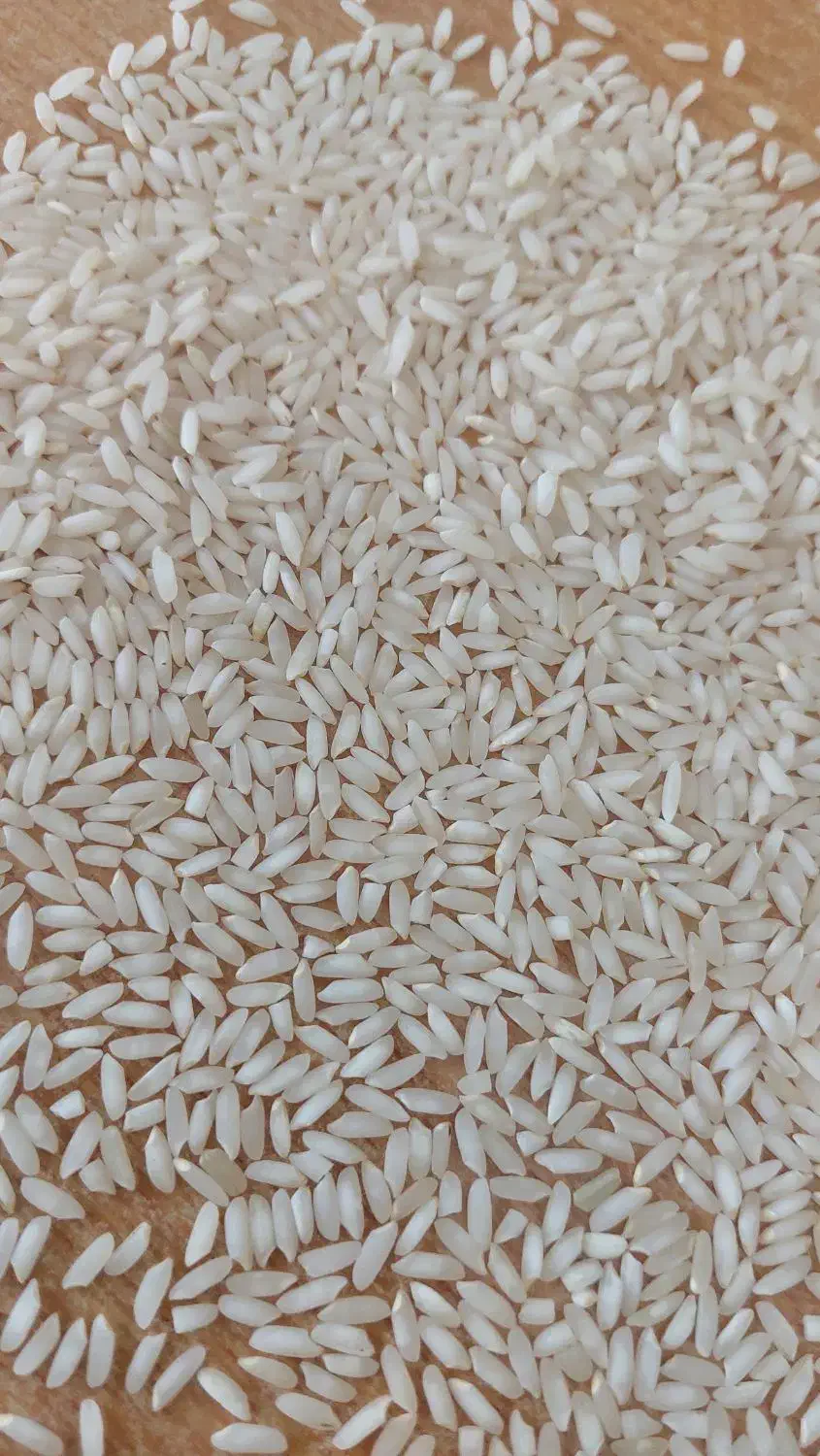 برنج عنبر بو|خوردنی و آشامیدنی|شوشتر, |دیوار