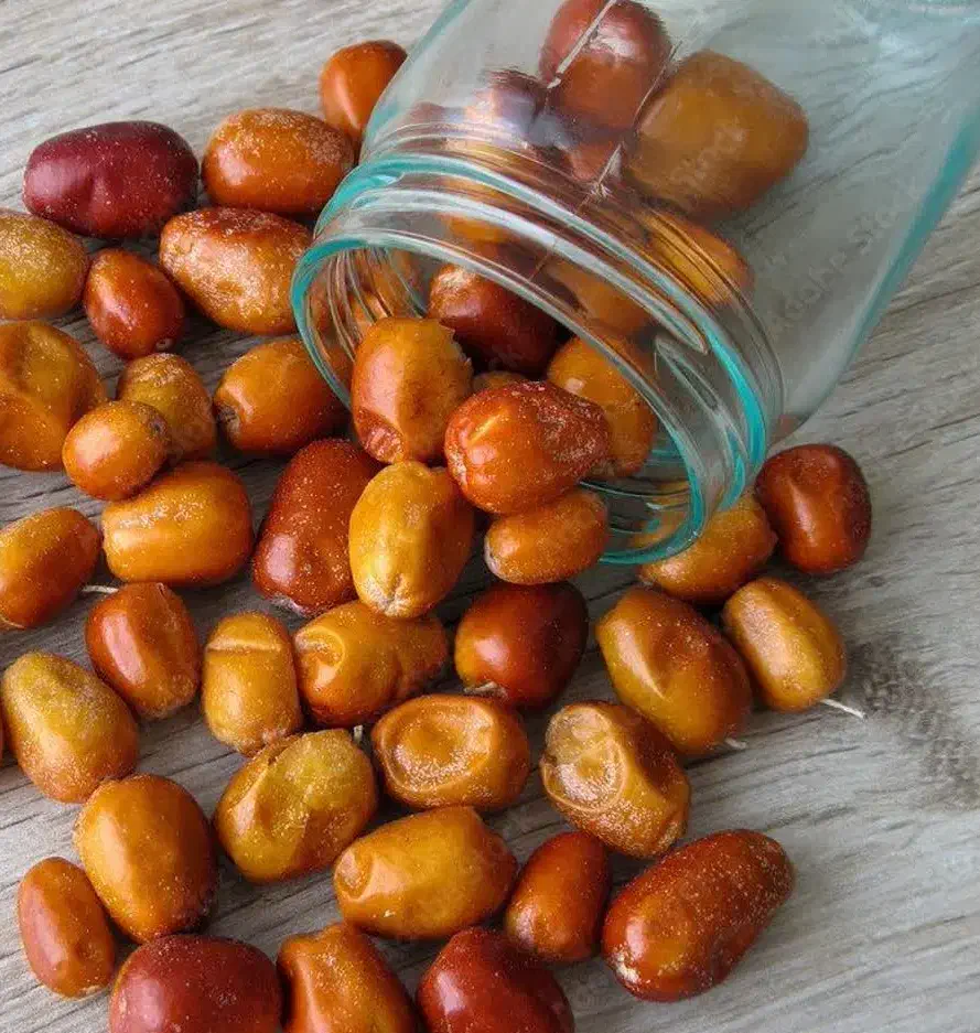 ارائه نهال سنجد قزل پربار و مقاوم|خدمات باغبانی و درختکاری|ارطه, |دیوار