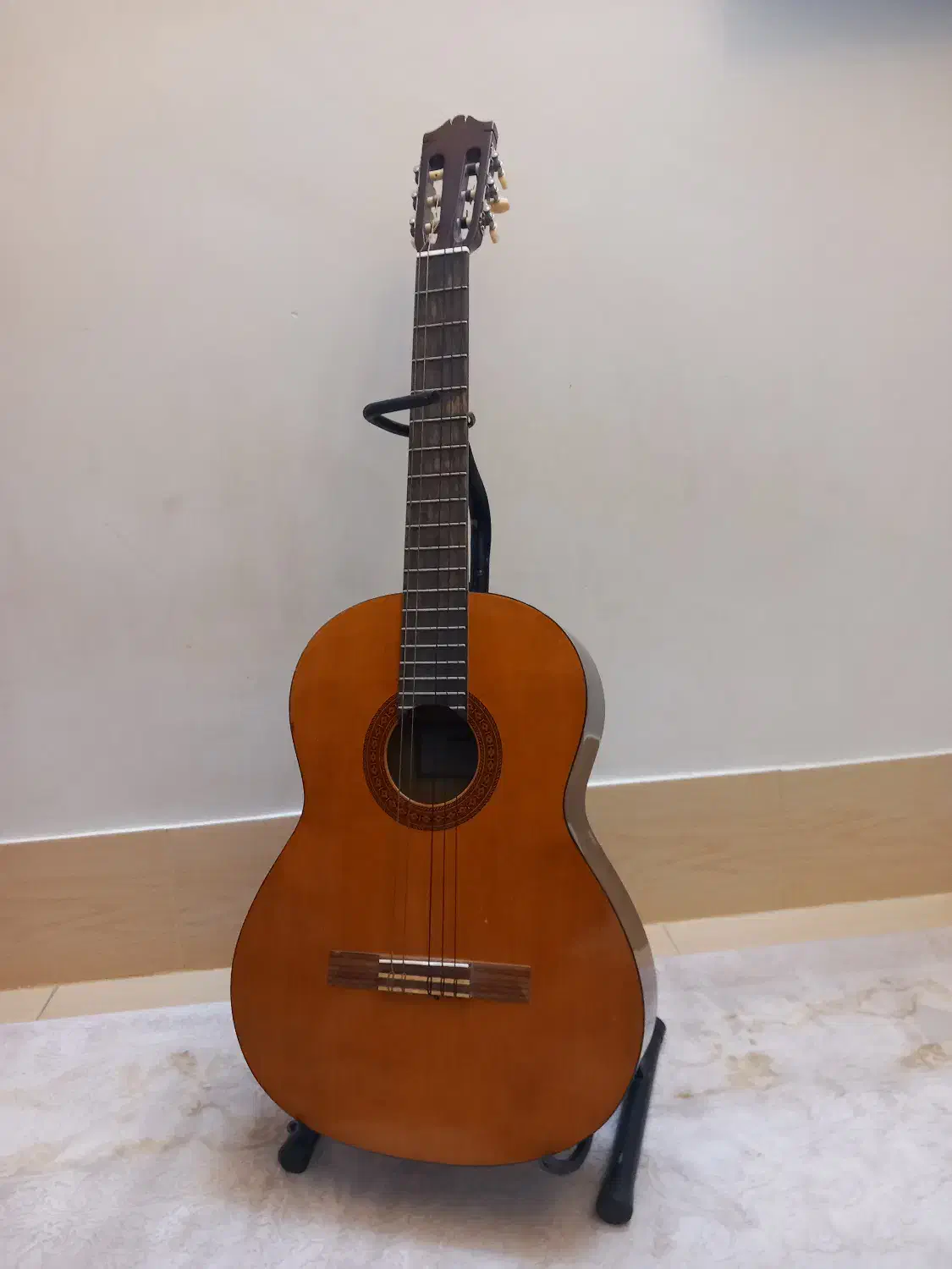 کیف و استند گیتار|گیتار، بیس، امپلیفایر|بیرجند, |دیوار