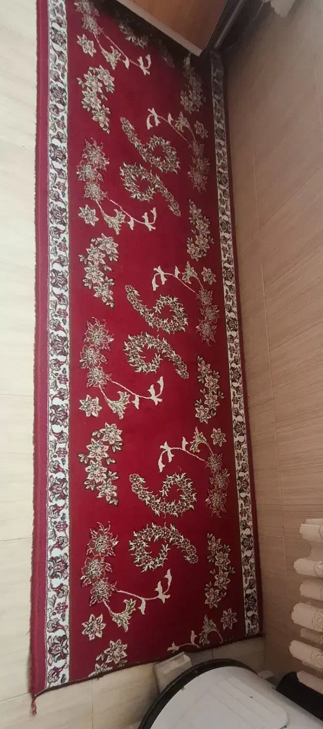 کناره فرش|فرش|سنندج, |دیوار