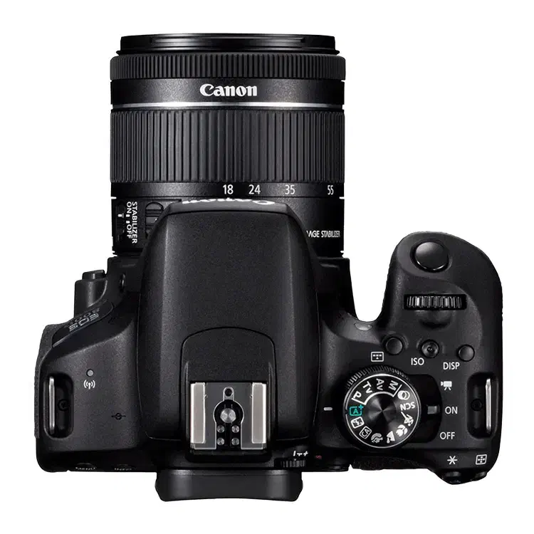 دوربین Canon EOS 800D|دوربین عکاسی و فیلم‌برداری|تهران, پامنار|دیوار