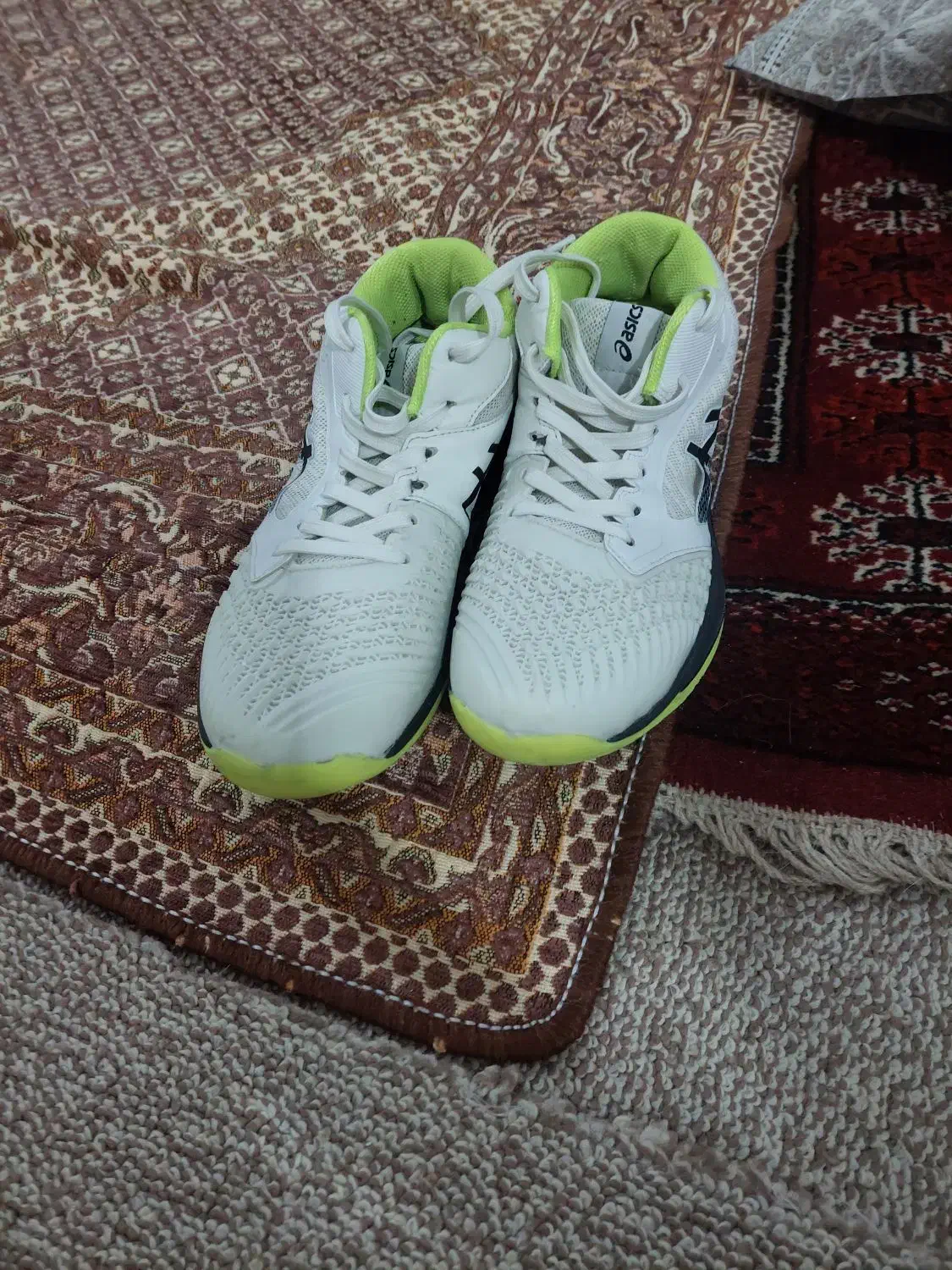 کفش والیبال|کیف، کفش، کمربند|گمیشان, |دیوار