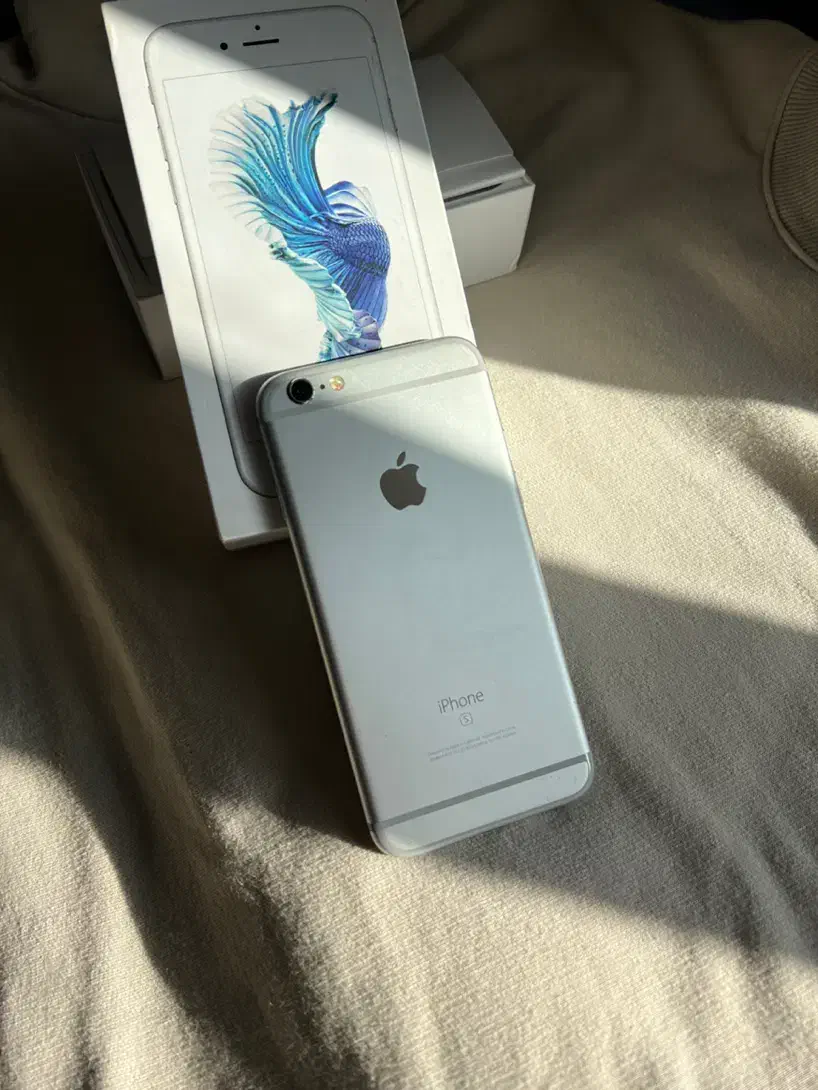 Iphone 6s|موبایل|شیراز, قدوسی غربی|دیوار