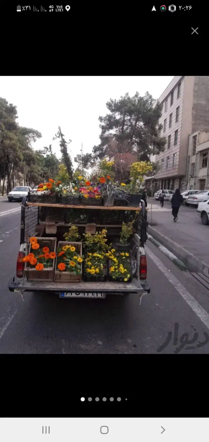 سمپاشی وباغبانی بامهرفاکتور شرکت درسراسرتهران|خدمات باغبانی و درختکاری|تهران, قیطریه|دیوار