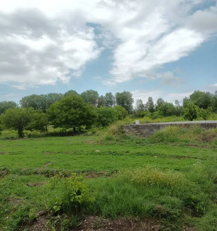 معاوضه باغ باویلا وآپارتمان|فروش دفتر صنعتی، کشاورزی، تجاری|مشگین شهر, |دیوار