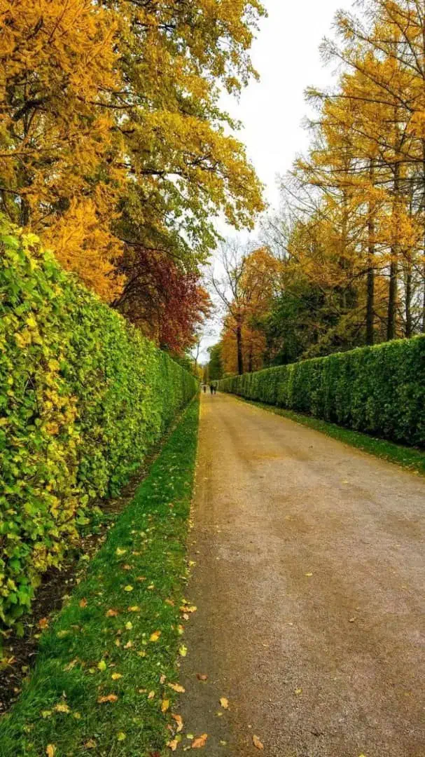 نگهبانی در مجموعه باغ شهری|استخدام سرایداری و نظافت|شیراز, کودیان|دیوار