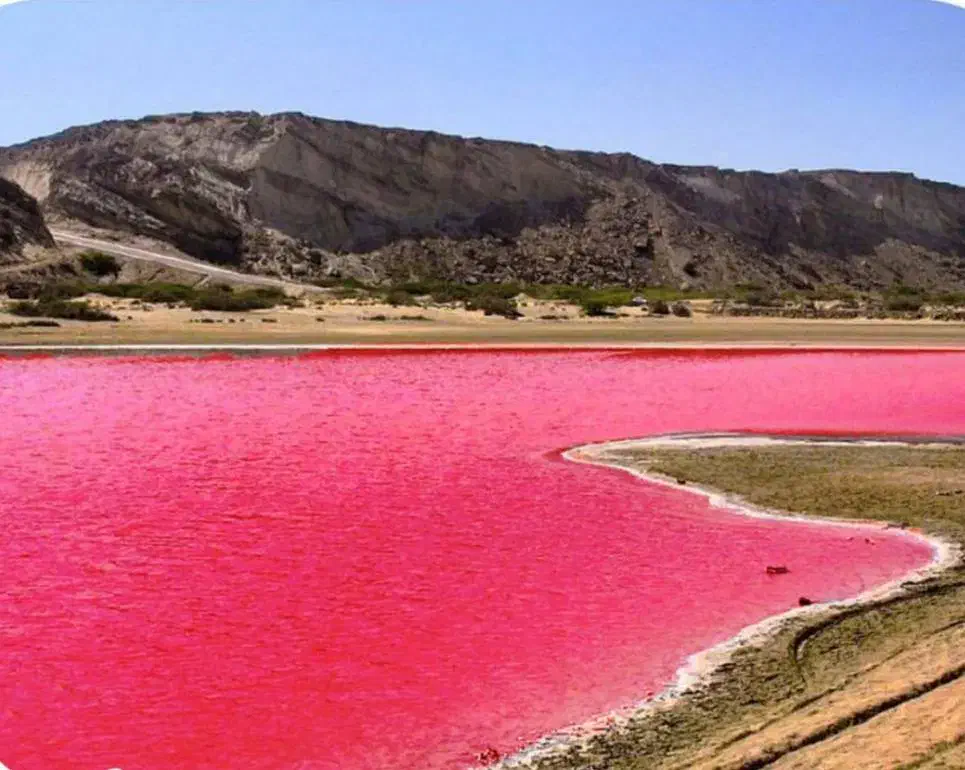 ارزانترین تور فول گشت چابهار هوایی اقساط لحظه آخر|تور و چارتر|مشهد, فلسطین|دیوار