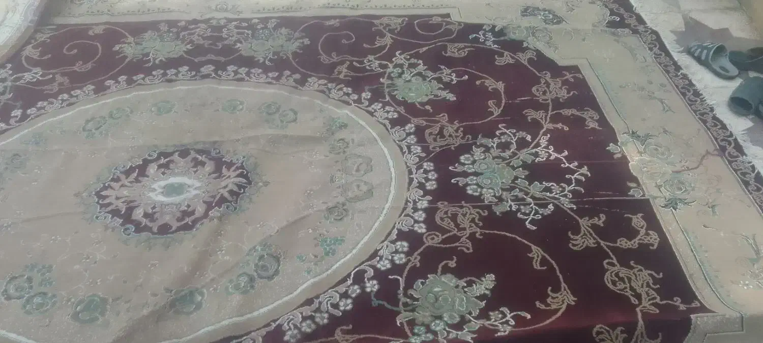 قالی12متری|فرش|بندر گناوه, |دیوار