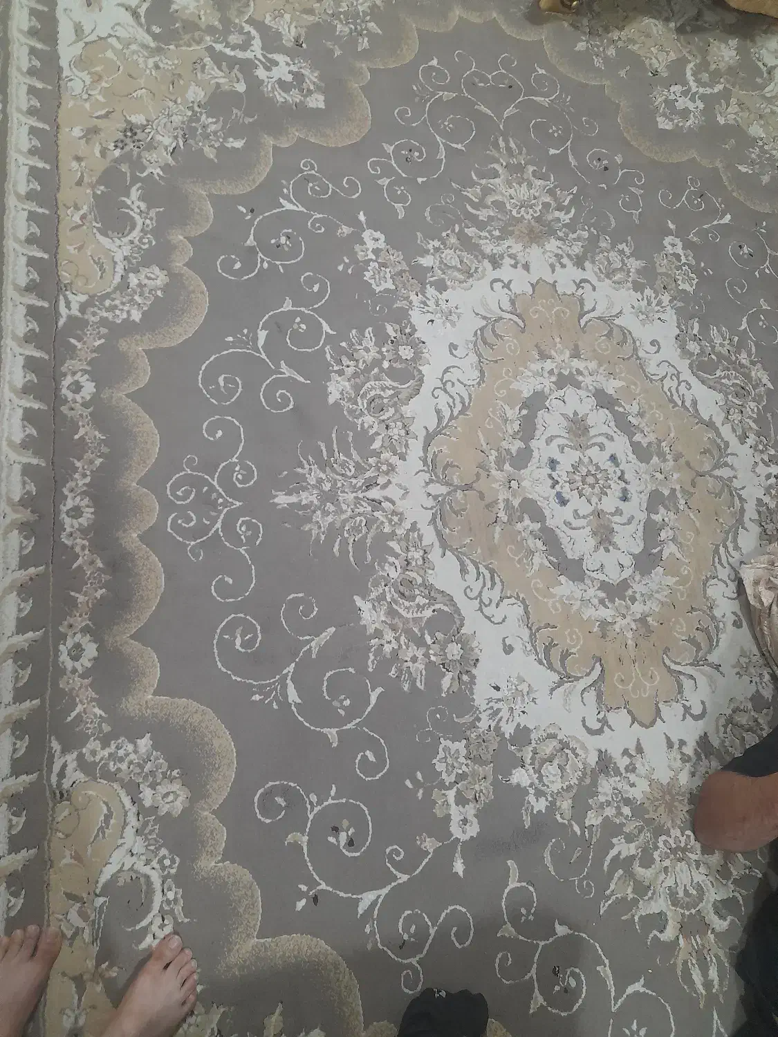 فرش|فرش|کلاردشت, |دیوار