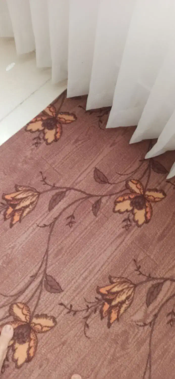 موکت|موکت|مریوان, |دیوار