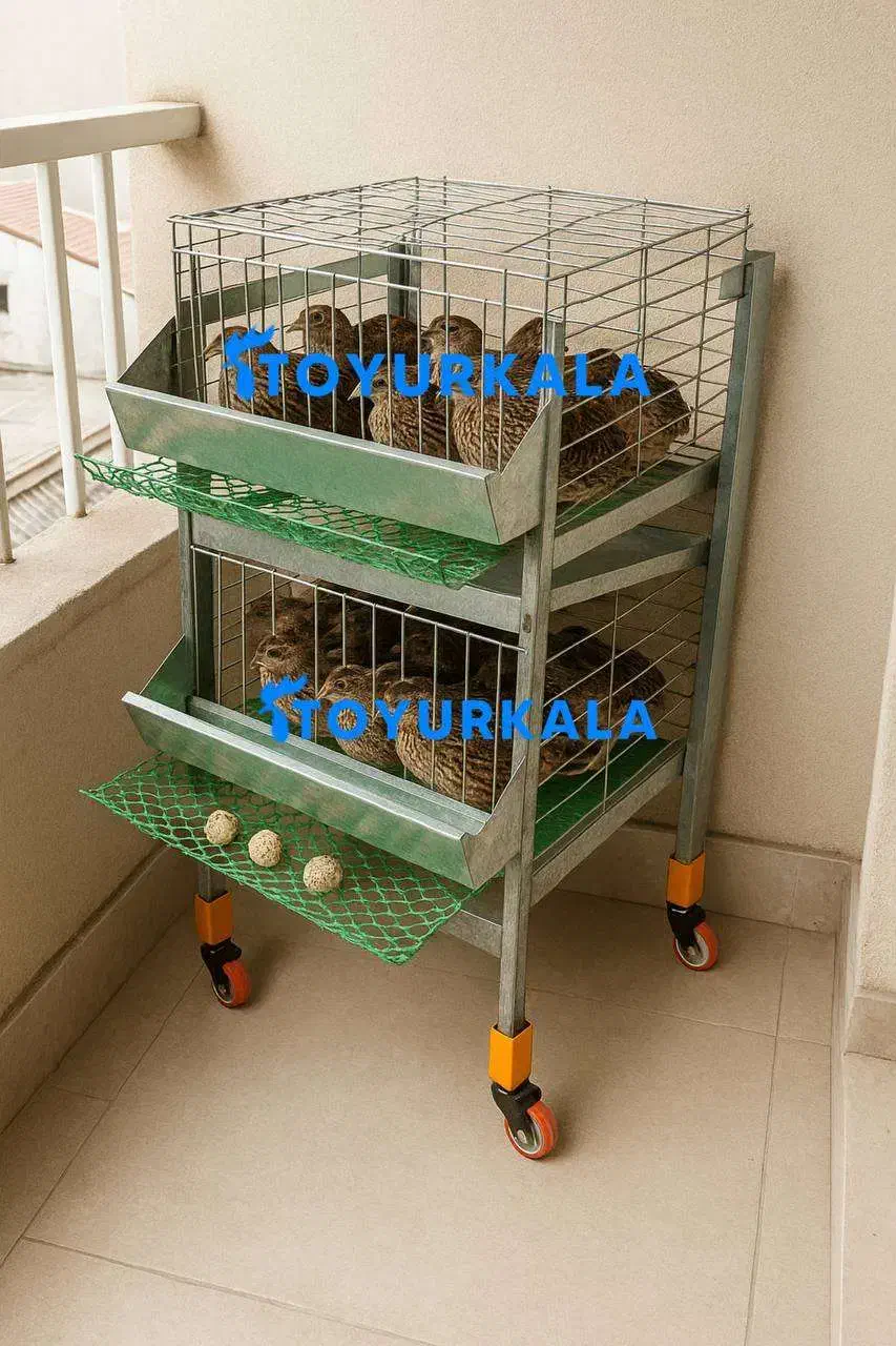 در*آپارتمان یا% بلدرچین مینی و قفس مرغ|لوازم جانبی حیوانات|آستارا, |دیوار