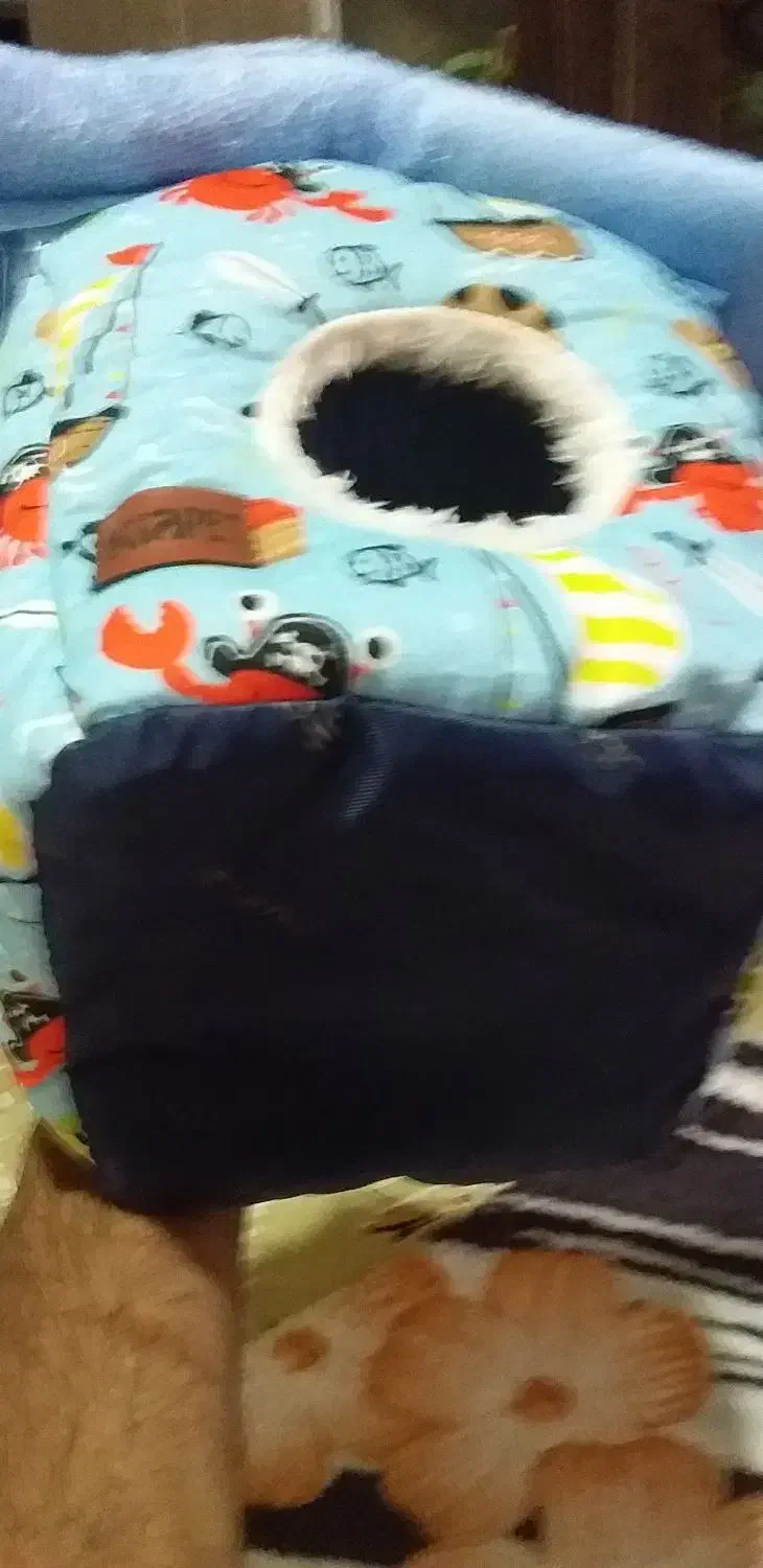 خونه گوگولی عروس و کوتوله|لوازم جانبی حیوانات|مشهد, امیرآباد|دیوار