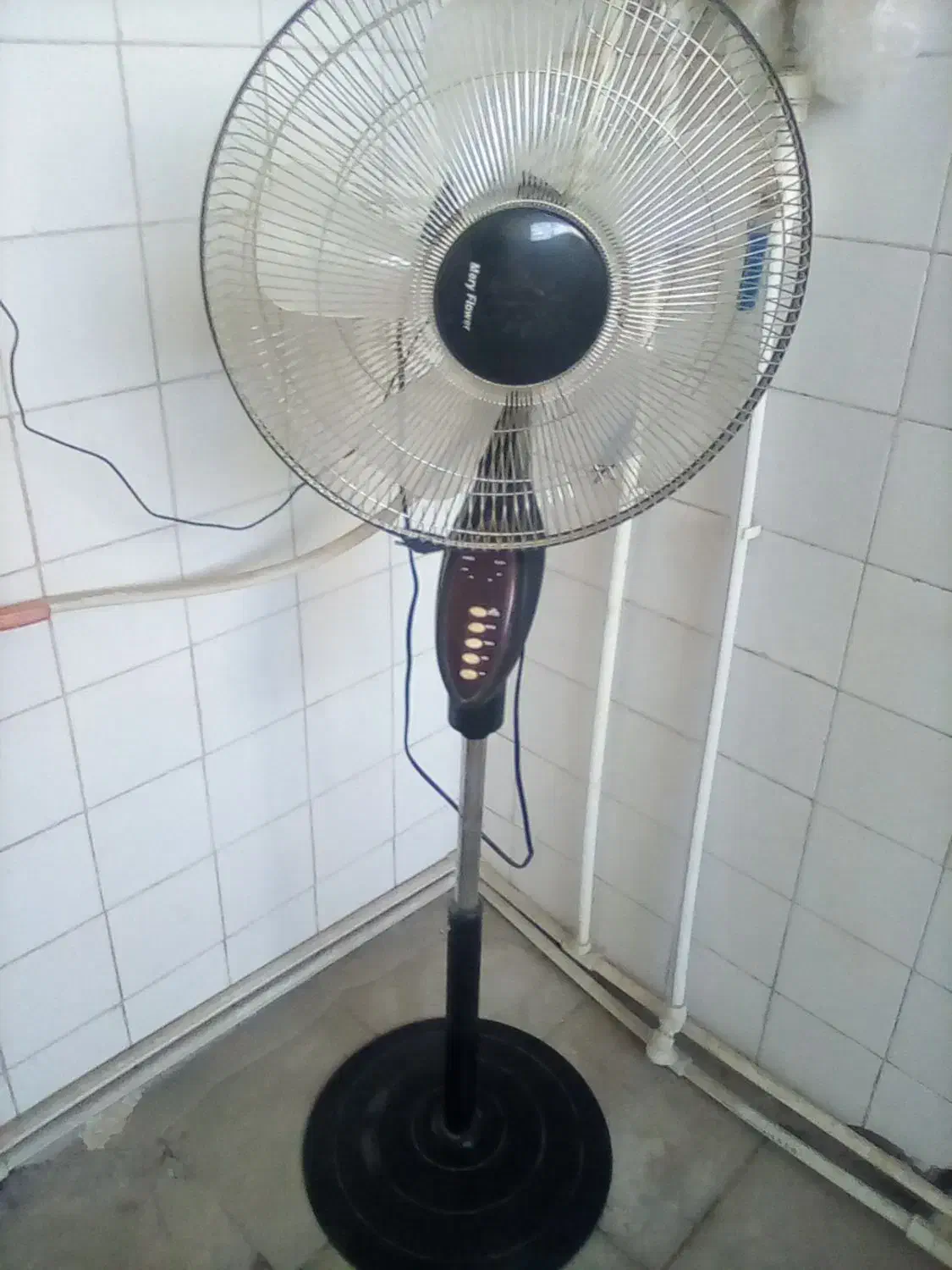 یک عدد پنکه پنج پره|پنکه و تصفیه‌کنندهٔ هوا|کرمان, |دیوار