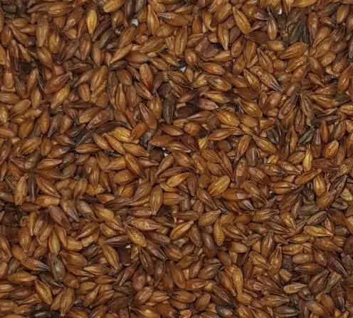فروش دانه و عصاره مالت جو و گندم طبیعی|خوردنی و آشامیدنی|بوئین و میاندشت, |دیوار