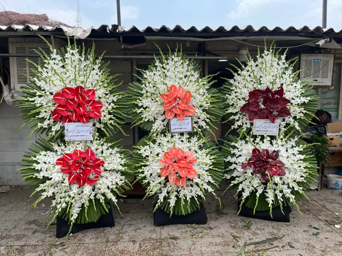 تاج گل ترحیم و تبریک|گل و گیاه طبیعی|تهران, آهنگ|دیوار