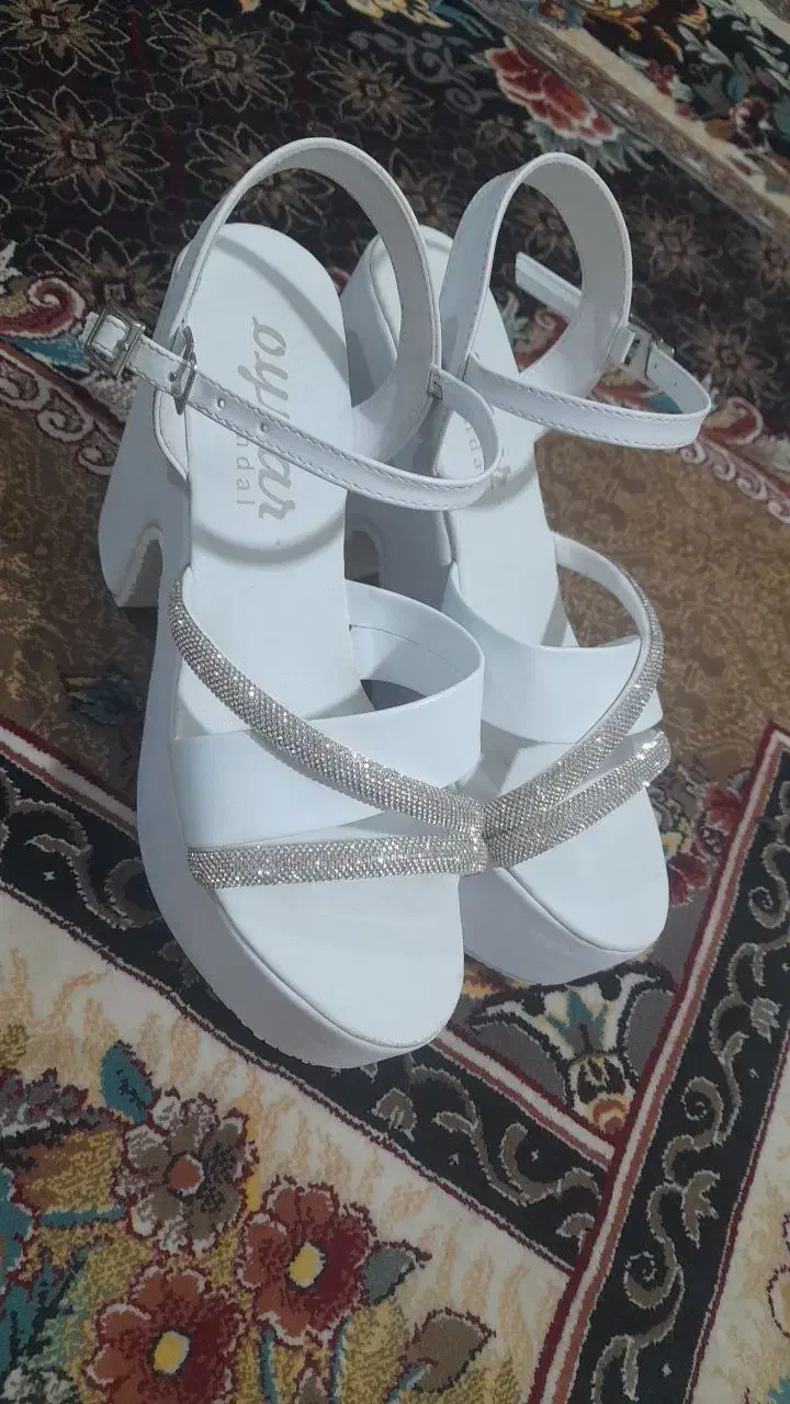 کفش مجلسی|کیف، کفش، کمربند|قم, شهر قائم|دیوار